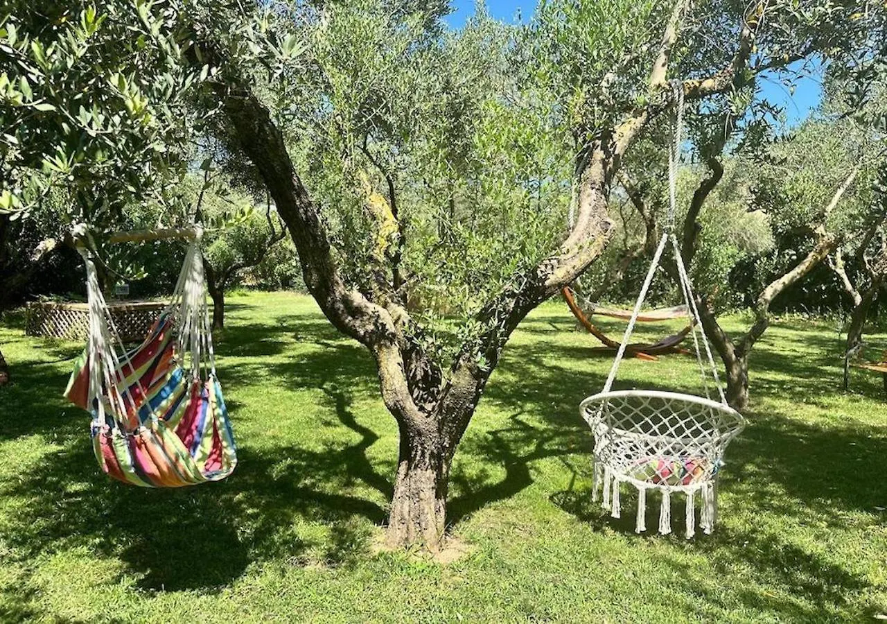 Villa Dolores , With A Spectacular Swimming Pool With Hydromassage And A Big Garden For The Children - Iun S3325 Alguer